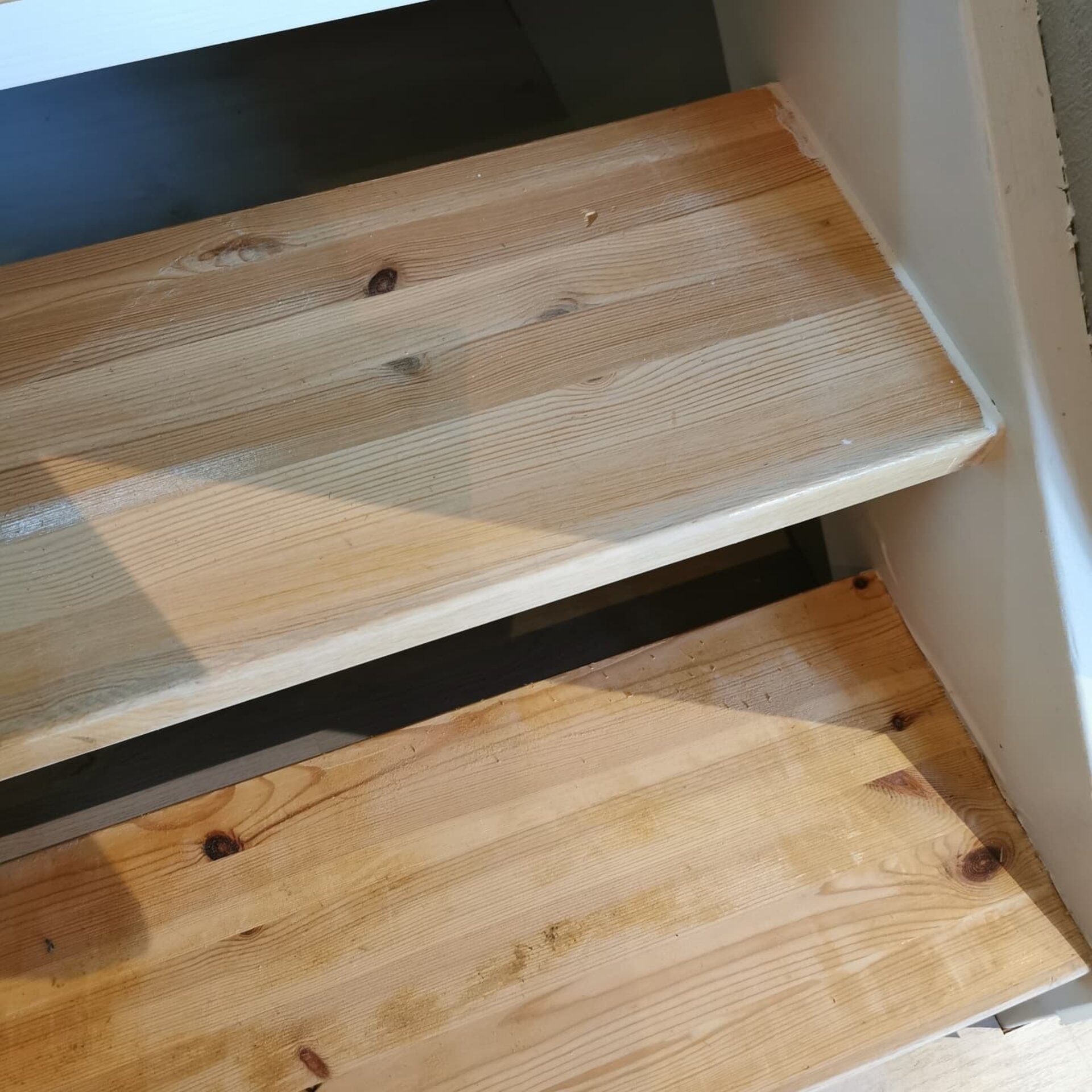 Nærbilde av det beiste treverket