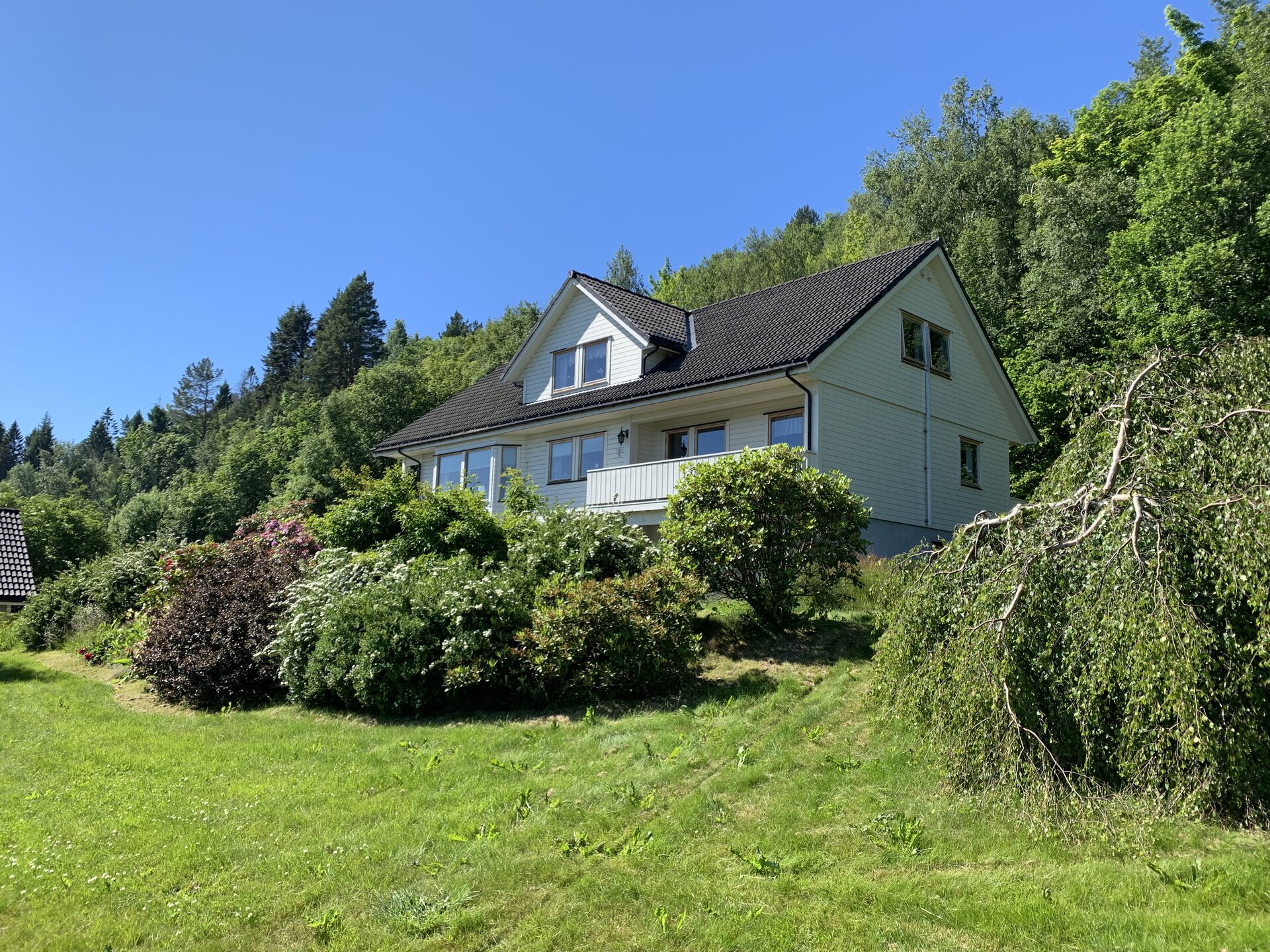 Huset på Martingarden omgitt av grønt gress og frodige trær, med fjellet bak